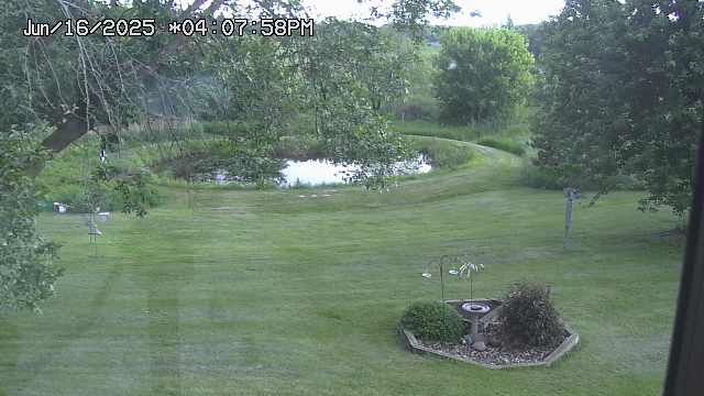 Pond Web cam
